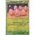 Ecarlate & Violet 151 - MEWFR - Exeggcute Reverse