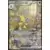 Ecarlate & Violet 151 - MEWFR - Alakazam EX