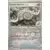 Fossile Nautile Ancien Reverse