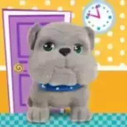 Buster