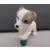Poppy