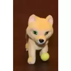 Barkly
