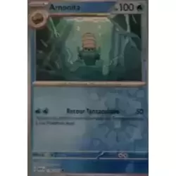 Amonita Reverse