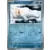 Seel Reverse
