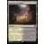 Dominaria Uni - Cavernes de Koïlos