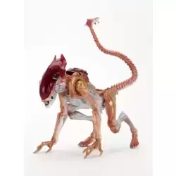 Aliens - Ultimate Panther Alien