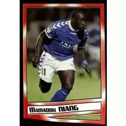 Mamadou Niang - Attaquant