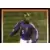 William Gallas (puzzle 1)