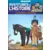Playmobil Altaya : Aventures de l\'Histoire - Les Livres - Les indiens Apaches