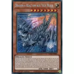 Dragon à Réaction aux Yeux Bleus
