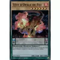 Tête d'Opale de Feu