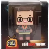 The Big Bang Theory - Amy