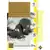 Upper Deck Disney Treasures - Pluto