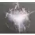 A Bigger Bang