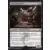 Aruspice sinistre