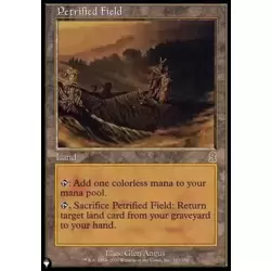 Champ pétrifié