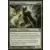 Coeur d'argent wolfir
