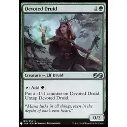 Druidesse dévouée