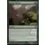 The list - Essaim de bourgeons