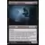 Faucon de nuit vampire