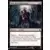 The list - Immersion dans Takenuma