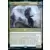 Lonis, cryptozoologue