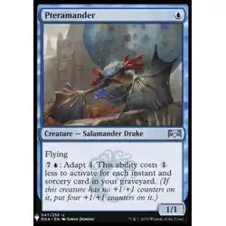 Ptéramandre