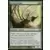 The list - Ranger de la Scrutaie