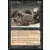 Rats des cryptes