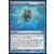 The list - Rite de duplication