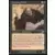 The list - Sorcier devin