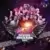 Compilations - NRJ Music Awards 2011