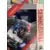 Transformers Authentic - Barricade