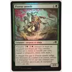 Pisteur annelé Foil