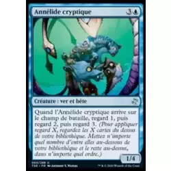 Annélide cryptique