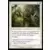 Frère de bande d'Ajani