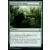 Spirale temporelle Remastered - Frisson de la chasse