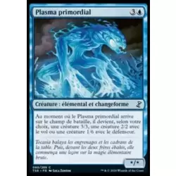 Plasma primordial