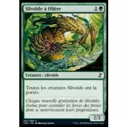 Slivoïde à filière
