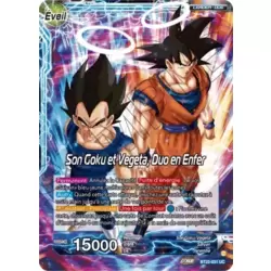 Son Goku // Son Goku et Vegeta, Duo en Enfer