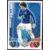 Marouane Fellaini - Everton
