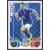 Mikel Arteta - Everton