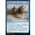 Aventures dans les royaumes oubliés (Dungeons & Dragons Forgotten Realms) - Vous arrivez à une rivière Foil