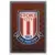 Match Attax - Premier League 2010/11 - Club Badge - Stoke City
