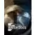 Tout l'art de Watch Dogs