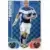 Lee Bowyer - Birmingham City