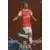 Marouane Chamakh - Arsenal