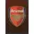 Match Attax - Premier League 2010/11 - Club Badge - Arsenal FC