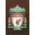 Match Attax - Premier League 2010/11 - Club Badge - Liverpool