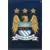 Club Badge - Manchester City